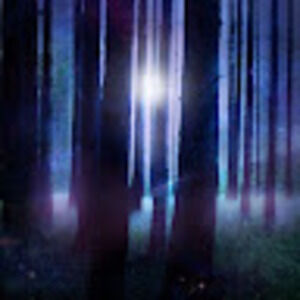 Meet your Posher, Lilli